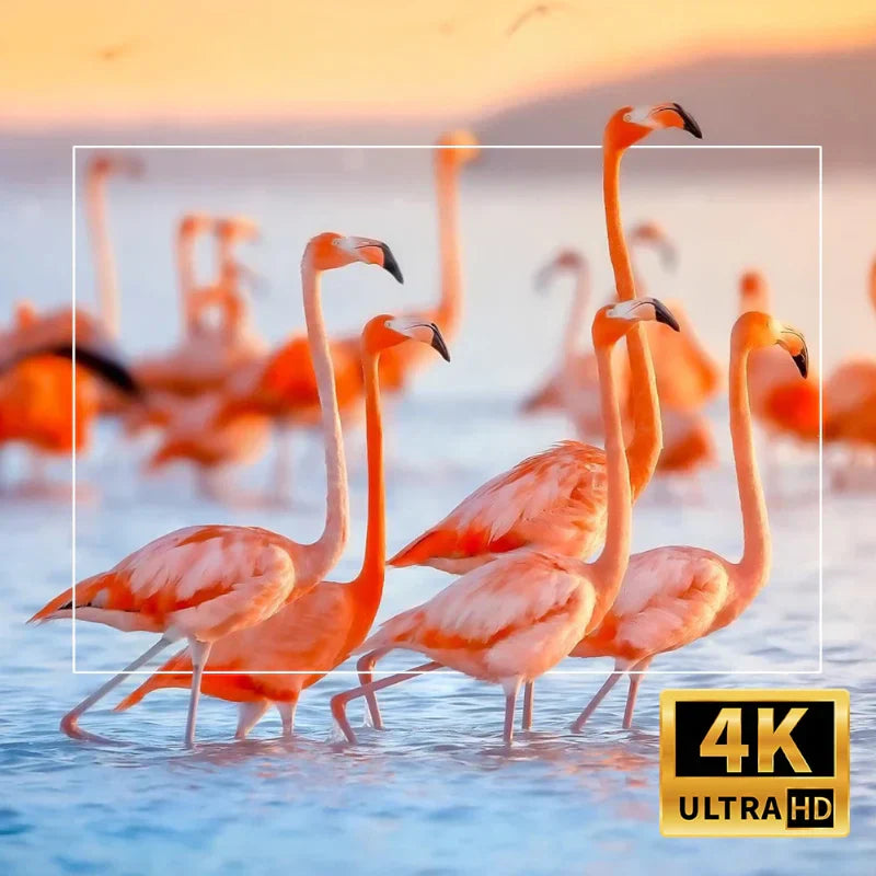 Projetor Portátil HY320 Pro 4K - Promoção de Agosto